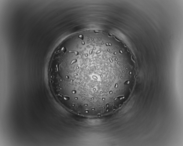X0000090751243200707201443