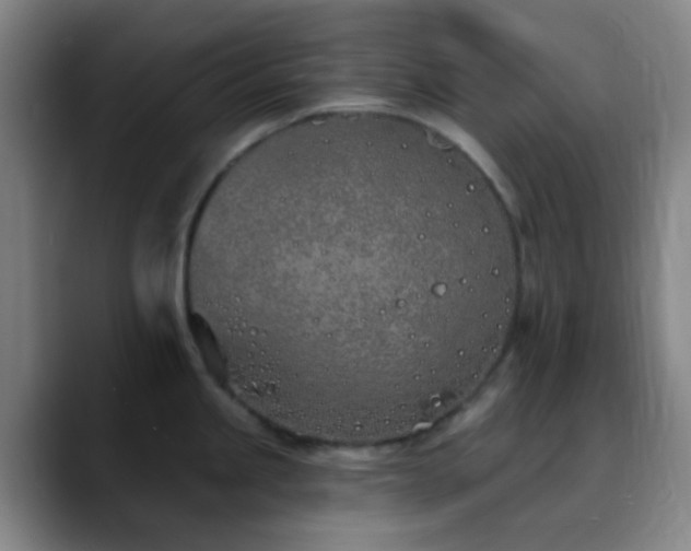 X0000090751245200707201443