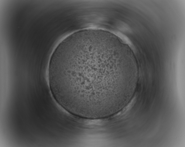 X0000090751247200707201443