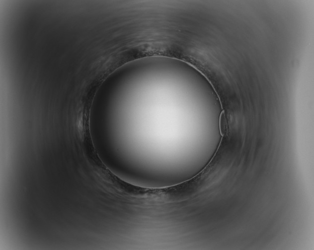 X0000090751250200707201442