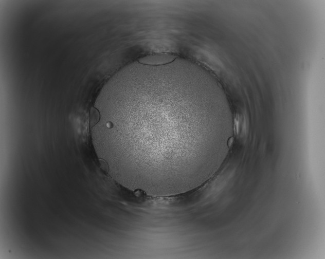 X0000090751251200707201442