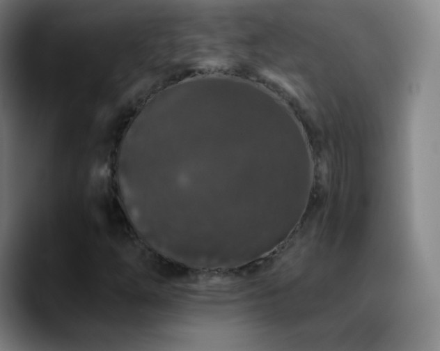 X0000090751254200707201442