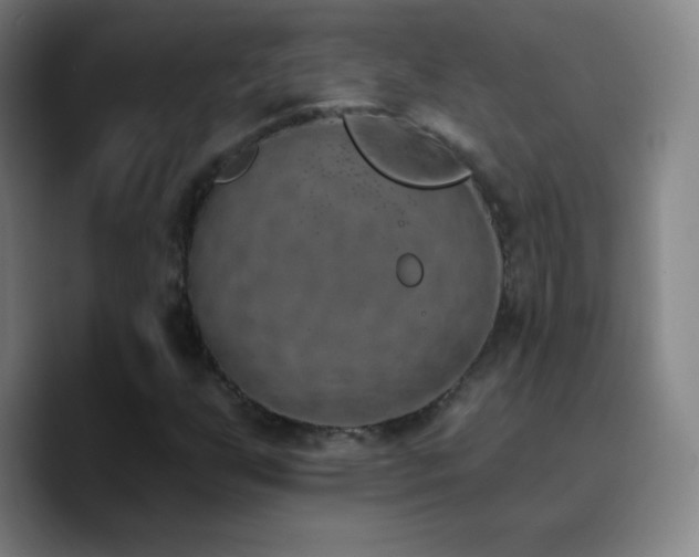 X0000090751255200707201442