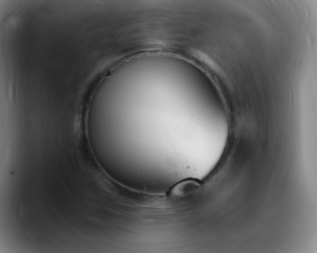 X0000090751259200707201442