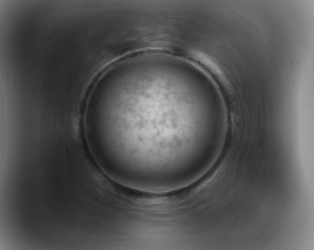 X0000090751260200707201442