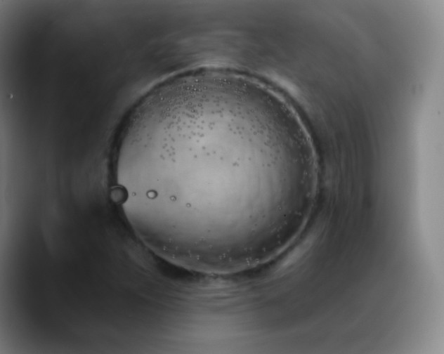 X0000090751263200707201442
