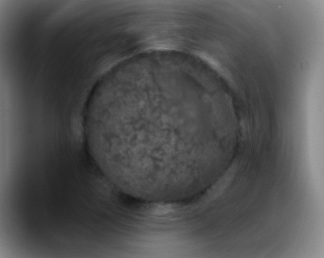X0000090751266200707201442