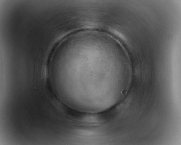 X0000090751267200707201442
