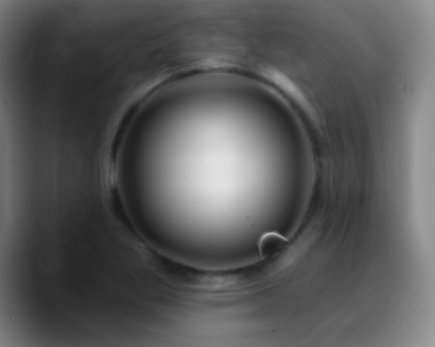 X0000090751269200707201442