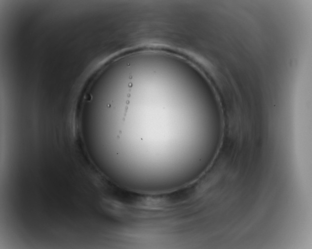 X0000090751271200707201442