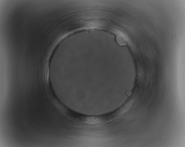 X0000090751275200707201442