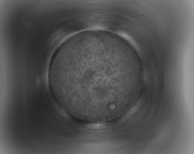X0000090751278200707201442