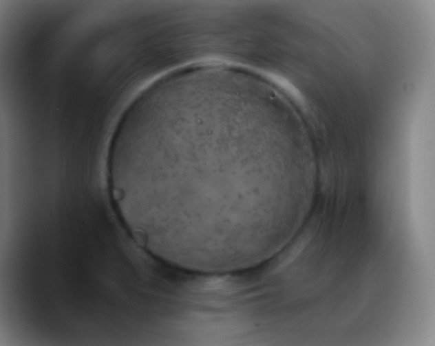 X0000090751279200707201442