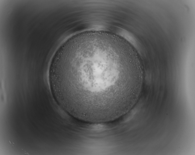 X0000090751283200707201442