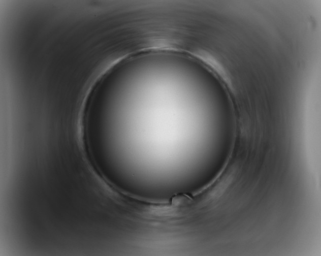 X0000090751285200707201442