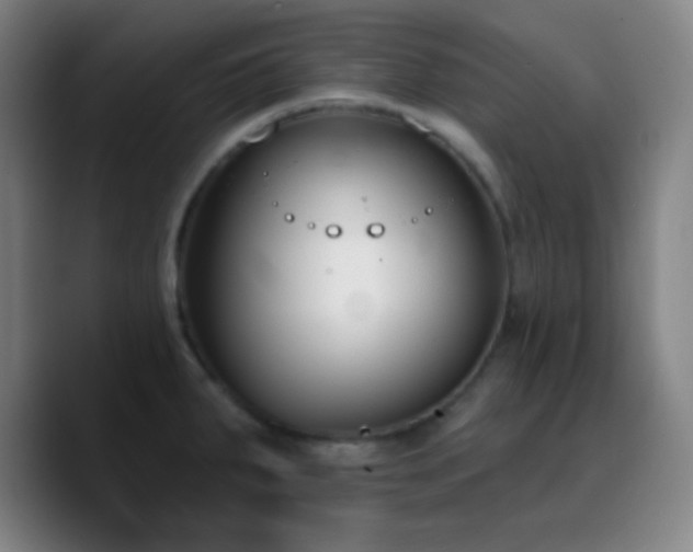 X0000090751287200707201442
