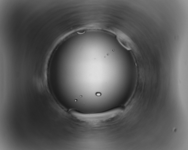 X0000090751288200707201442