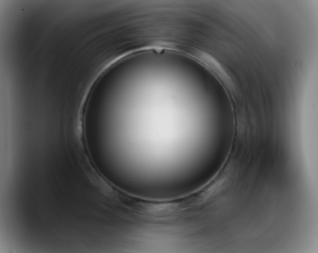 X0000090751292200707201442
