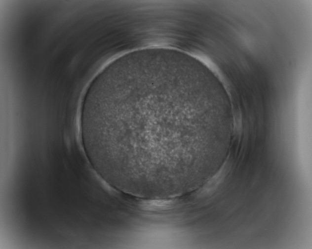 X0000090751294200707201442