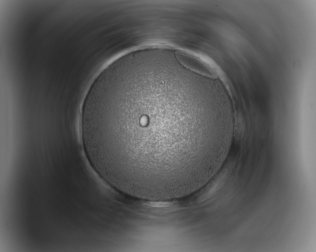 X0000090751295200707201442