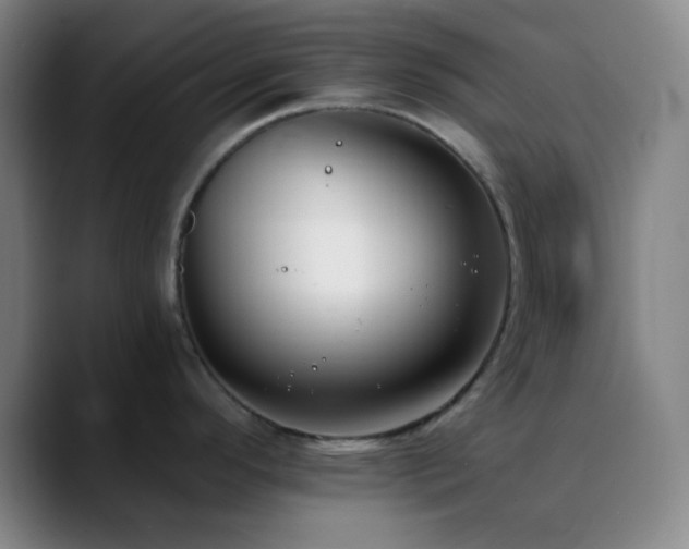 X0000090751296200707201442