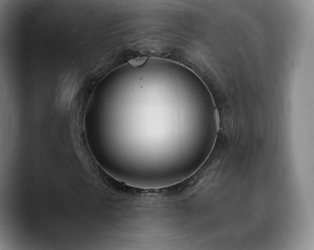X0000090751297200707201441