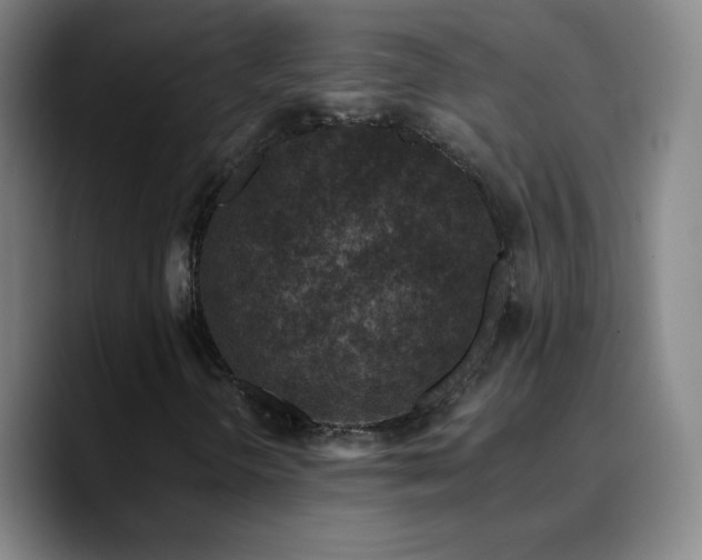 X0000090751298200707201441