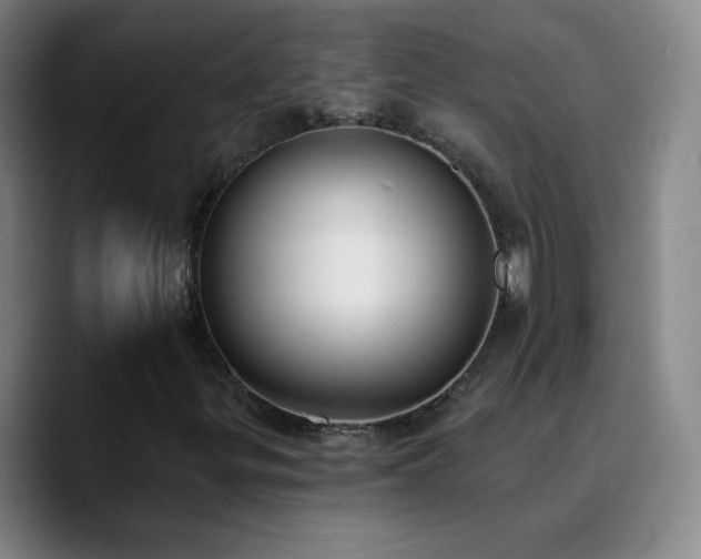 X0000090751299200707201441