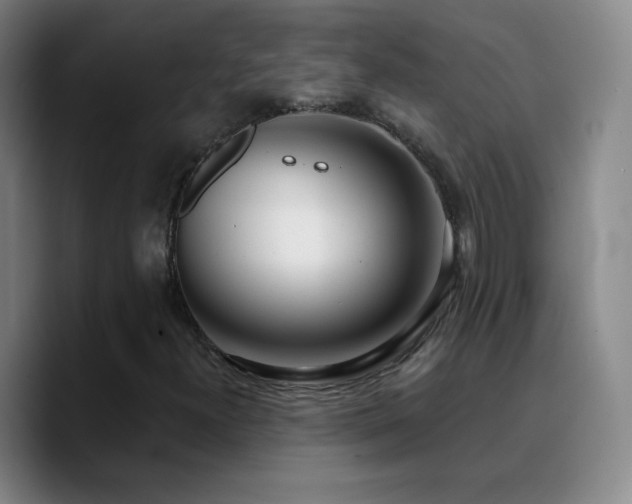 X0000090751300200707201441