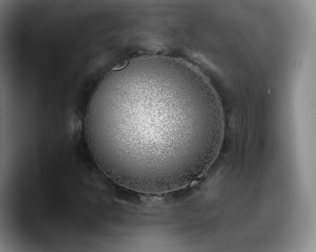 X0000090751302200707201441