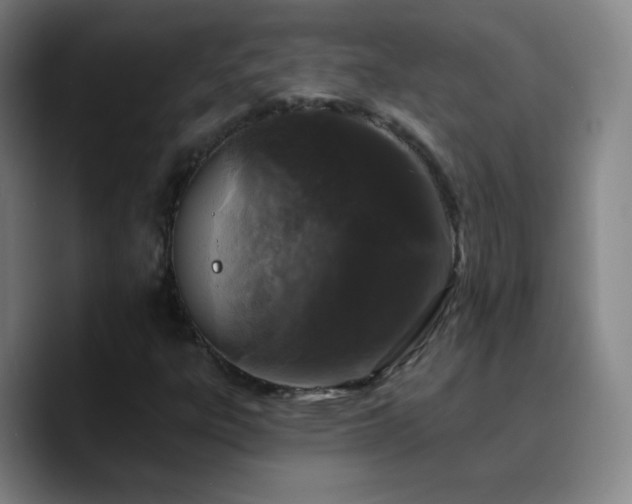 X0000090751303200707201441