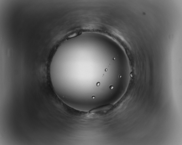 X0000090751304200707201441