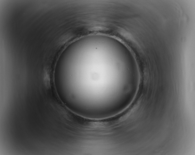 X0000090751305200707201441