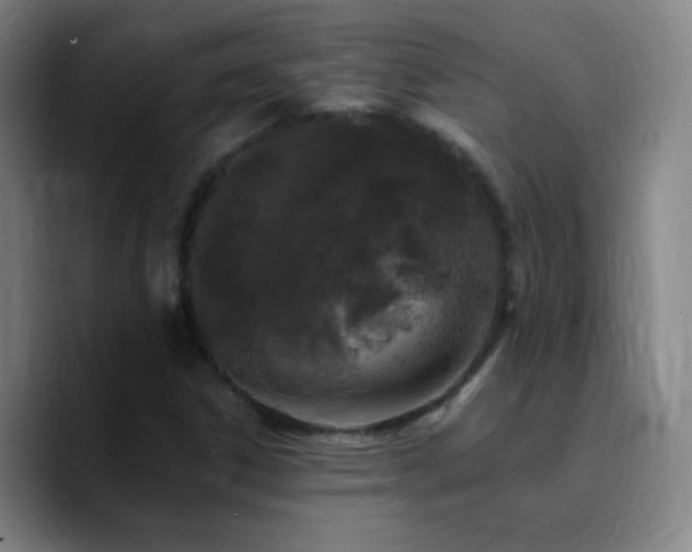 X0000090751306200707201441