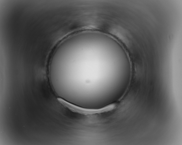 X0000090751308200707201441