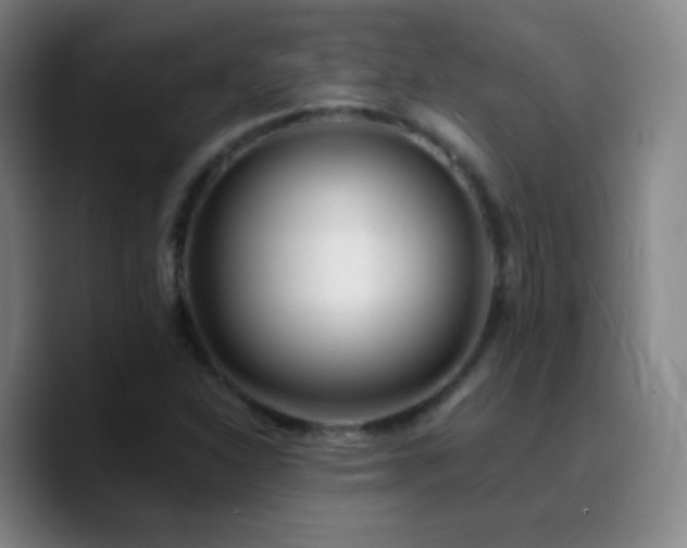 X0000090751310200707201441