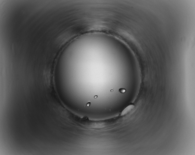 X0000090751313200707201441