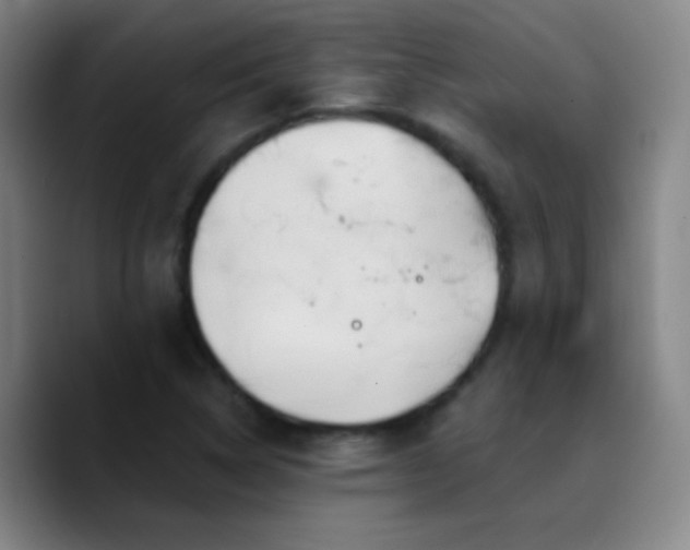 X0000090751314200707201441