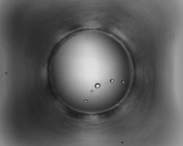 X0000090751315200707201441