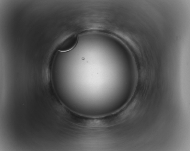 X0000090751317200707201441