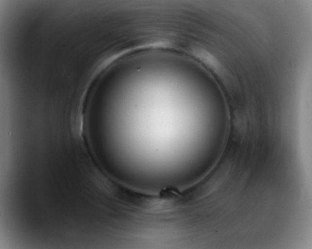 X0000090751324200707201441