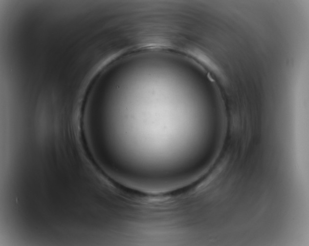 X0000090751325200707201441