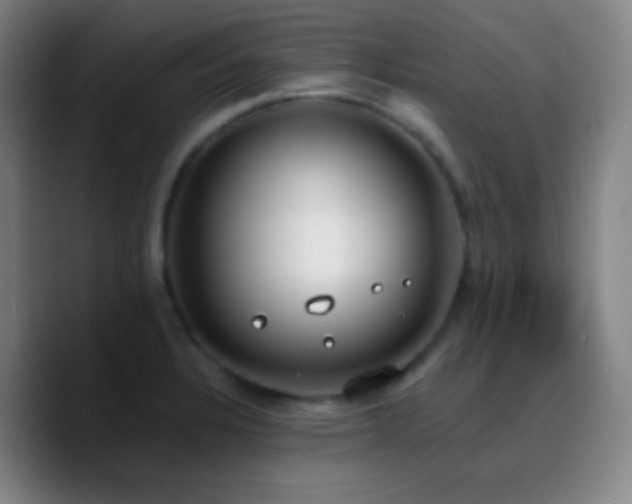 X0000090751328200707201441