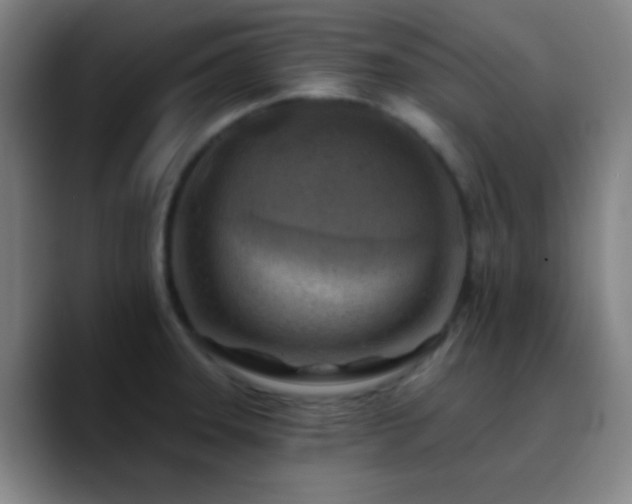 X0000090751331200707201441
