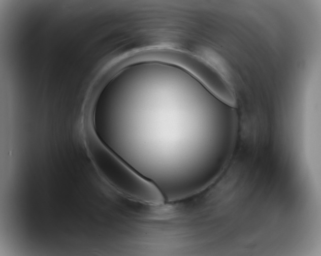 X0000090751332200707201442