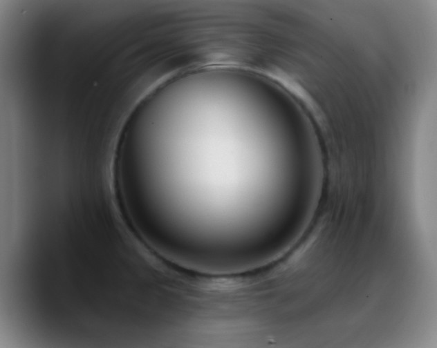 X0000090751333200707201442