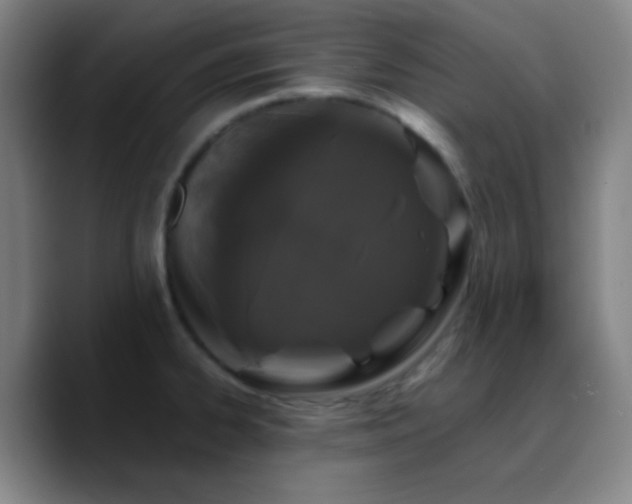X0000090751334200707201442