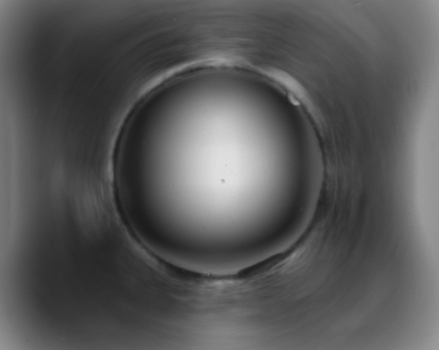 X0000090751335200707201442