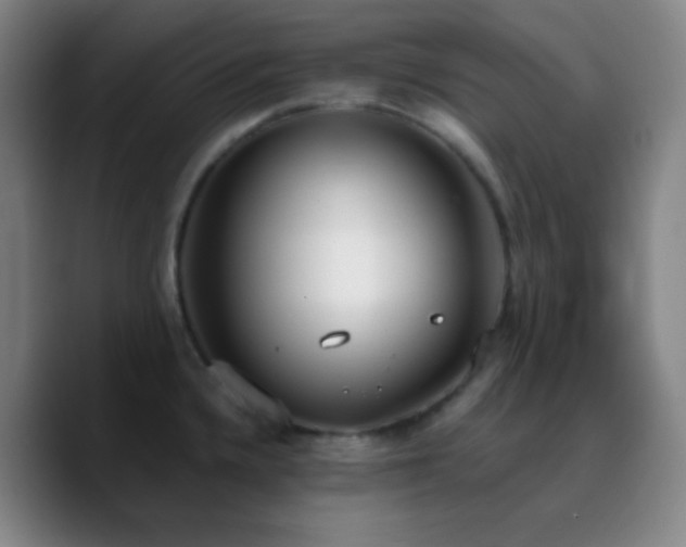 X0000090751336200707201442