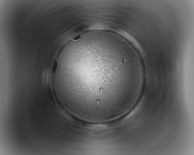 X0000090751337200707201442